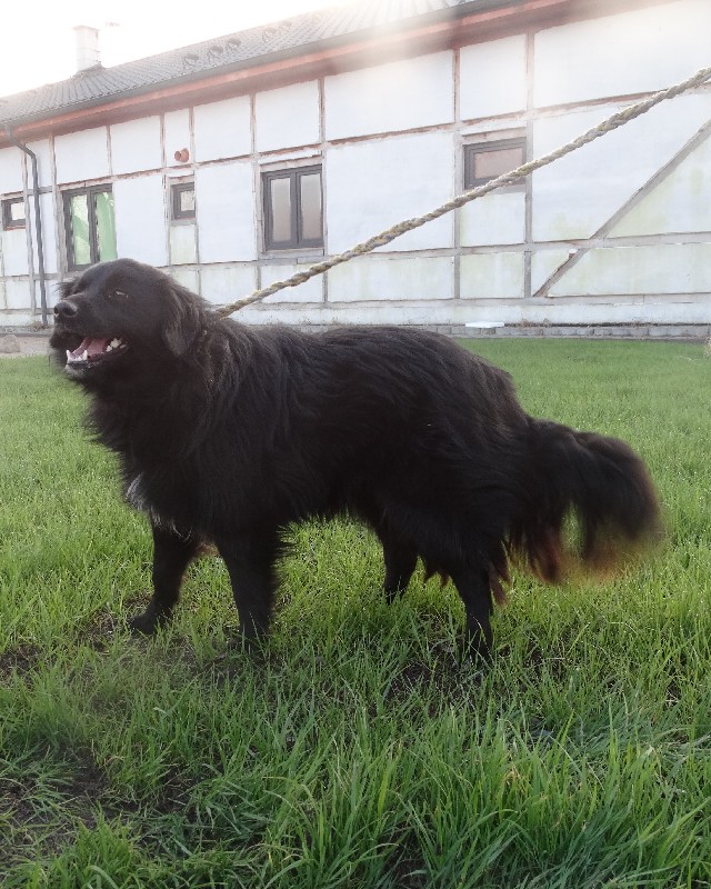 Manuela