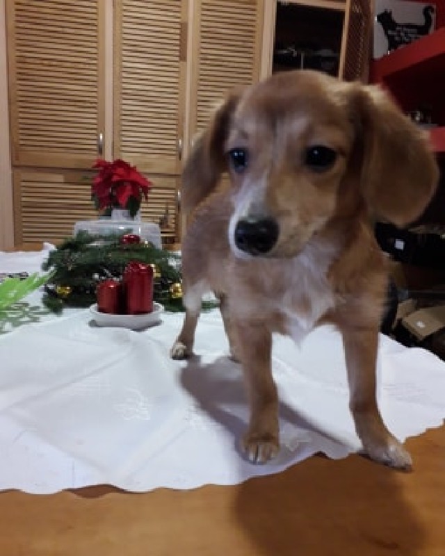 Beza