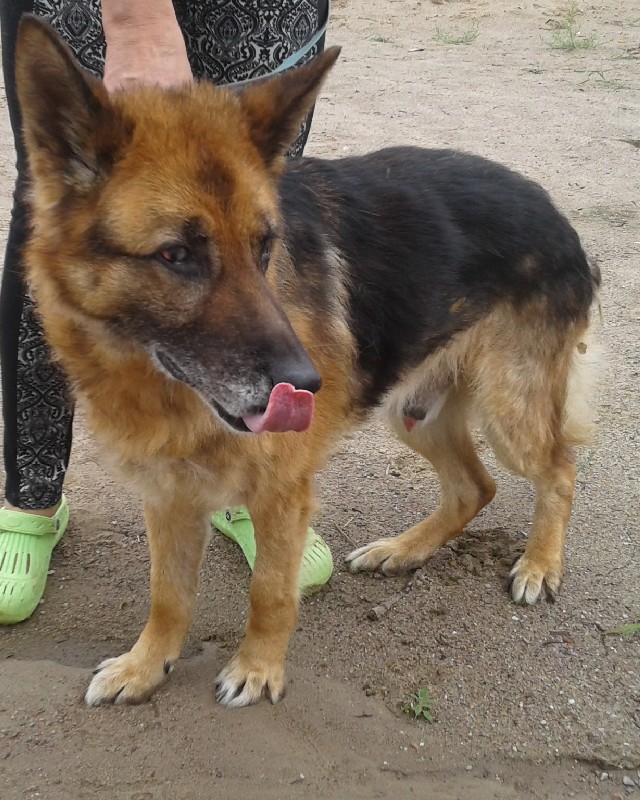 Ares