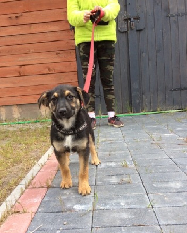Neska