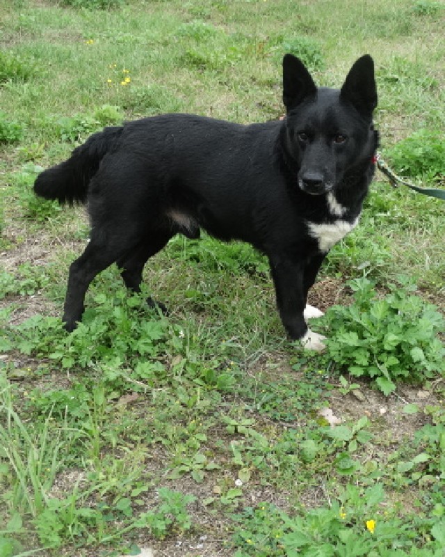 Berek