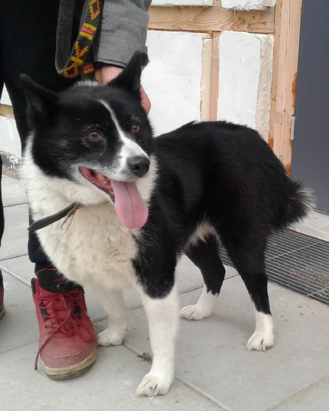 Bella