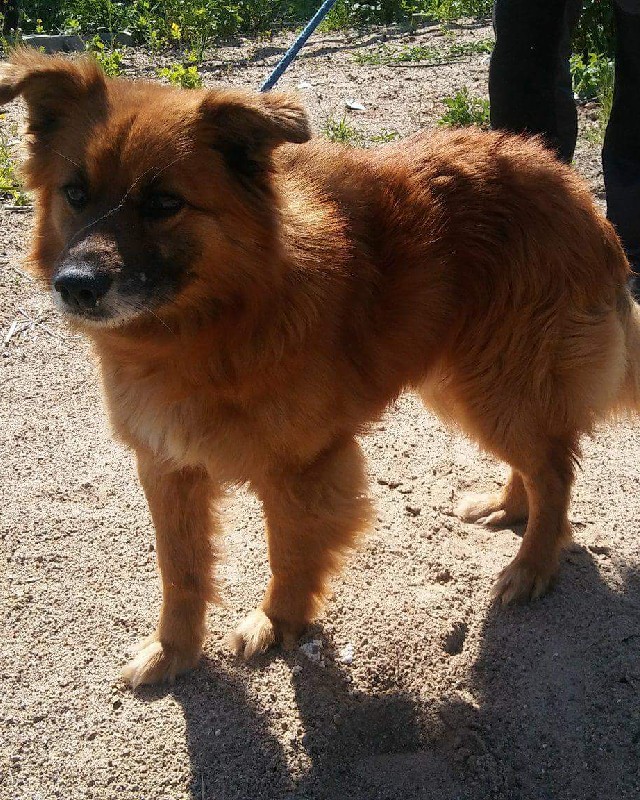 Max