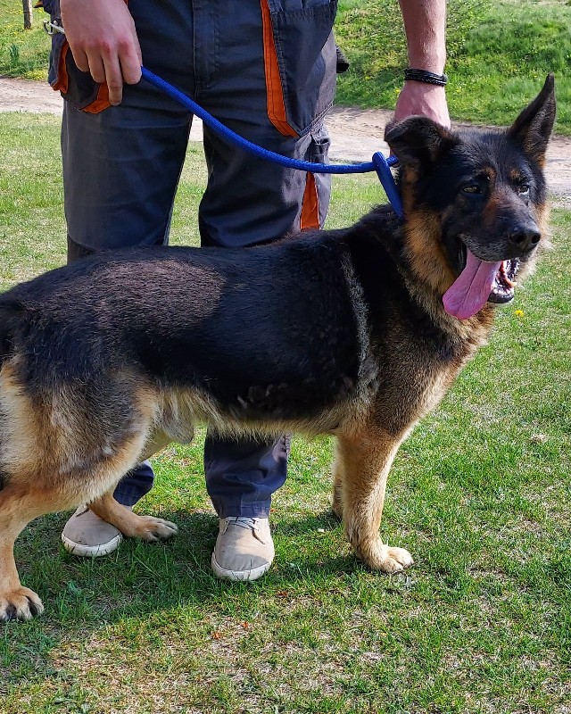 Miraco
