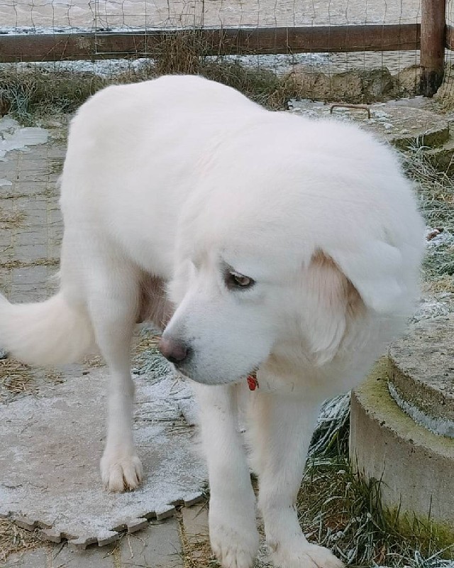Chmura